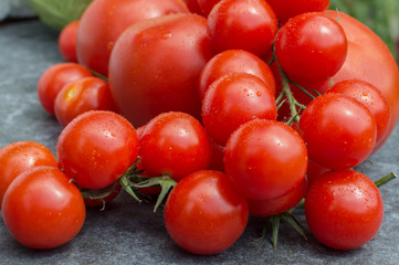 red tomatoes on a branch and board