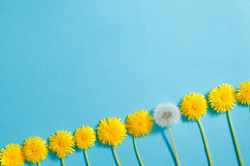 Row Of Dandelions. Creativity Creative Thinking Ideas Grow Up Life Future Concept