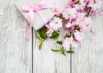 Sakura blossom with gift box