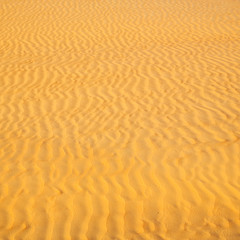 in oman the old desert and the empty quarter abstract  texture line wave