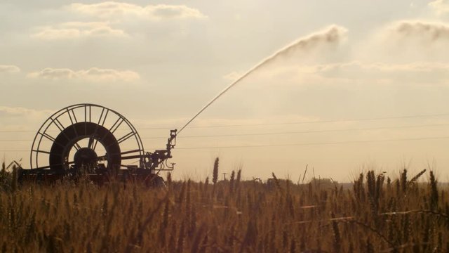Arrosage de culture en saison estivale en Beauce 