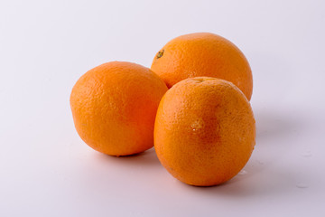 oranges on white background
