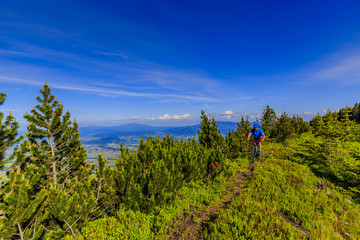 Naklejka na ściany i meble Mountain biker riding on bike in summer mountains forest landscape. Man cycling MTB flow trail track. Outdoor sport activity.