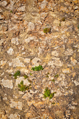 Part of a stone wall . Background or texture