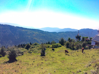 Mountain landscape on the way to Timling, Nepal