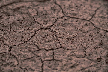 in the desert the dry ground