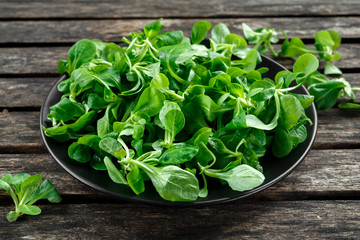 Fresh lamb lettuce corn salad in a black plate on wooden rustic table.