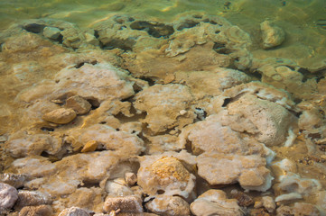 Crystallized salt of Dead Sea beach