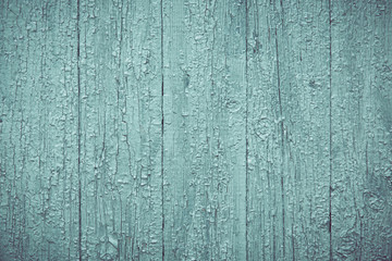 Rustic Old Wood Board Shabby Green Background