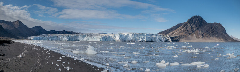 Small icebergs in front of a glacier