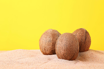 Coconuts on the beach sand