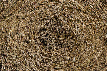Round bale hay background