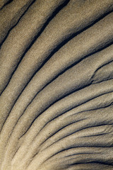 Fototapeta na wymiar abstract texture of a dry sand and the beach