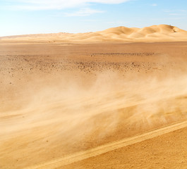 in oman old desert rub al khali the dust storm