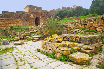 chellah    morocco africa the