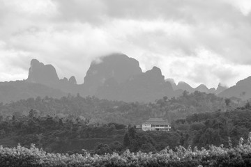 Landscape - villa in the rainforest - black and white