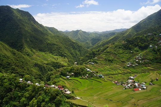 Batad Rice Terraces/ Philippines