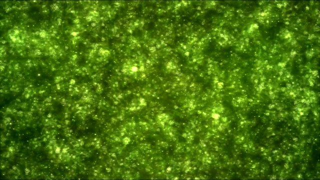 Colorful Animated Nebula Travel Animation - Loop Green