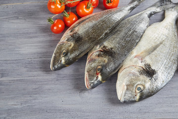 Fresh raw Dorado fish with rosemary, garlic, tomatoes, pepper and lemon on a gray board. Selective focus.
