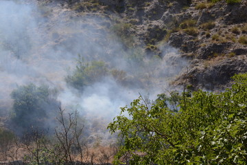 INCENDIO ESTIVO.MONTAGNA,SUD ITALIA