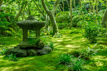 祇王寺の苔の庭園・石灯籠