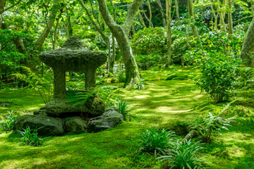 祇王寺の苔の庭園・石灯籠 © yvvv