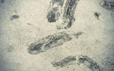 Stone texture with fossils