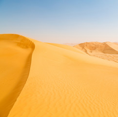 in oman old desert  rub al khali the empty  quarter and outdoor  sand dune