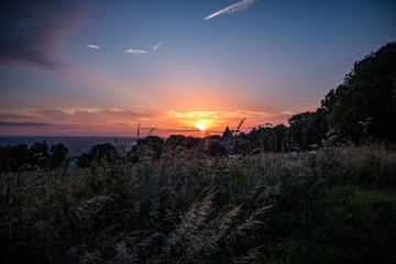 Sunset in a field