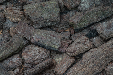 vintage bark close up