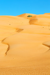 in oman old desert  rub al khali the empty  quarter and outdoor  sand dune
