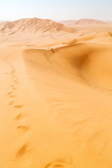 Fototapeta na wymiar in oman old desert outdoor sand dune