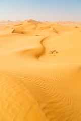 in oman old desert  outdoor  sand dune