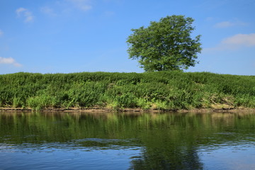 Fototapeta premium Hannover - Uferböschung an der Leine, Deutschland