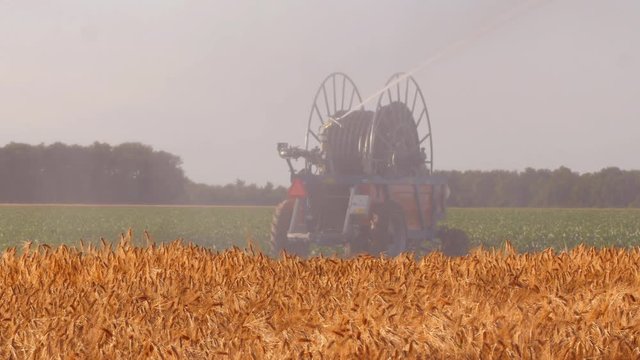 Arrosage de culture en saison estivale en Beauce 