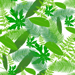 leaves tropics icon pattern
