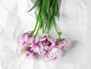 Beautiful tulip flowers on crumpled paper background