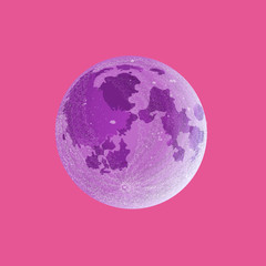 Moon at sunset. Detailed vector illustration. Isolated
