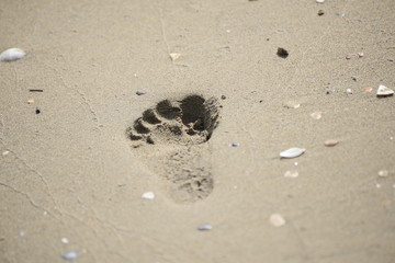 Fußabdruck im Sand