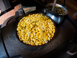 a lot of cocoon silkworm