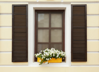 Modern wooden window decorated with flower