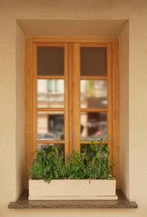 Modern wooden window decorated with flower