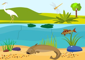 River underwater vector illustration