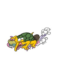 turtle skateboard