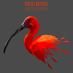 Red bird low poly design. Triangle vector illustration.