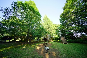 緑の公園
