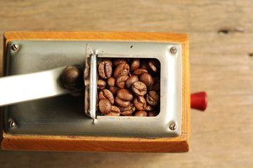 Coffee beans in grinder