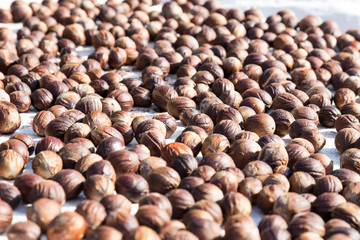 Close-up of fresh nutmeg mace seed being dried under sun