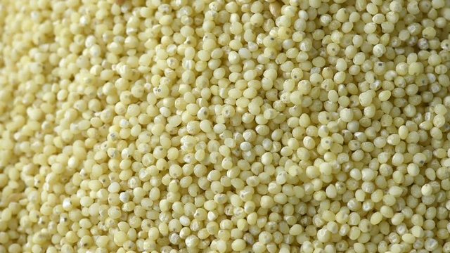 Millet cereals from whole grains are strewed on a plate close up