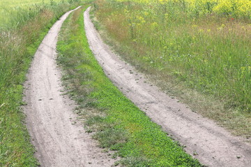 Fototapeta na wymiar Dirt road in summer in a field among green grass